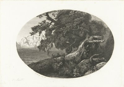 Tronco de árbol desarraigado en la costa de Pierre Louis Dubourcq