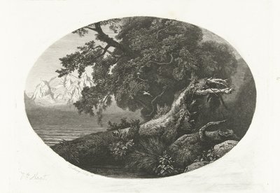 Tronco de árbol desarraigado en la costa de Pierre Louis Dubourcq