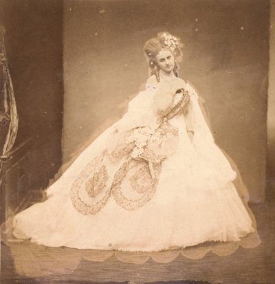 La Bisi. Boudoir, bata de terciopelo gris, moiré rosa, flores rosas, hojas grises de su mai, 1860s de Pierre Louis Pierson