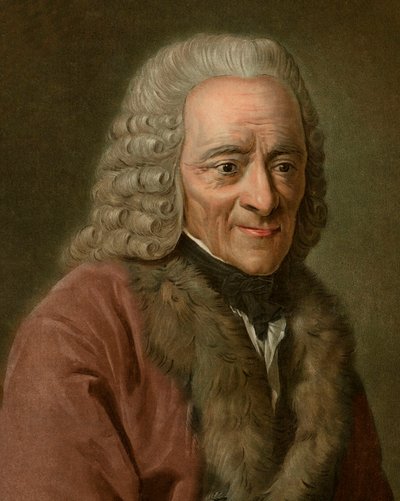 Retrato de Voltaire de Pierre Michel Alix