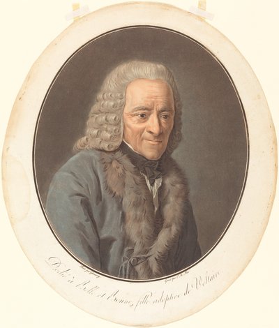 Voltaire de Pierre Michel Alix