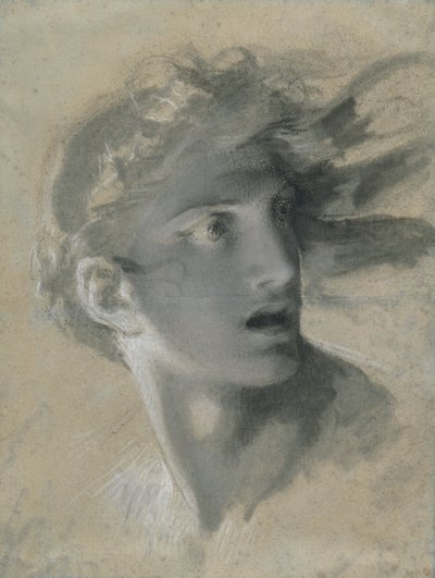 Cabeza de Venganza de Pierre Paul Prud