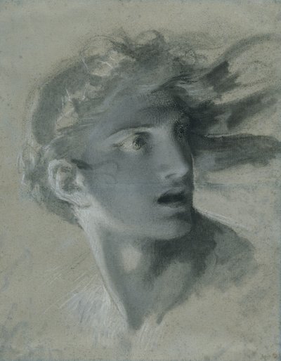 Cabeza de la venganza, c.1804 de Pierre Paul Prudhon