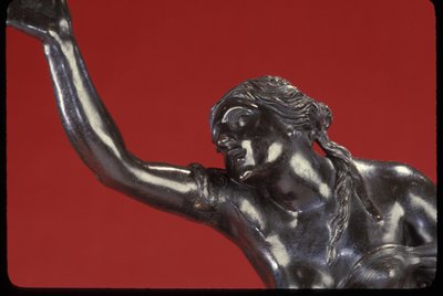 El rapto de Helena de Pierre Puget