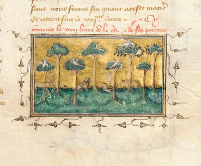 (detalle) Página de "De Proprietatibus Rerum" de Bartholomeus Anglicus, en la traducción francesa de Jean Corbechon, c.1390 de Pierre Remiet