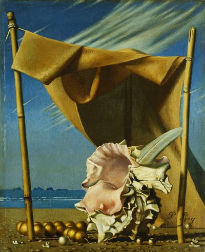 Shell and Drape; Coquillage et Drape, c.1930 (óleo sobre lienzo) de Pierre Roy
