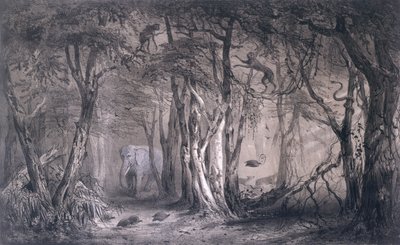Selva virgen en el borde del Nilo Azul, de Viajes al Sudán Oriental y en el África Septentrional por Pierre Tremaux (1818-95) grabado por Tirpenne y J. Gaildrau, 1852 de Pierre Tremaux
