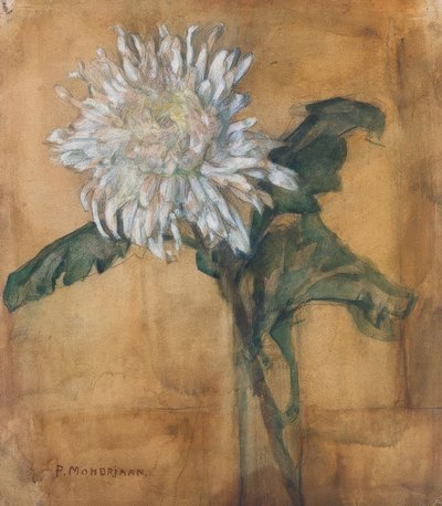 Crisantemo de Piet Mondrian