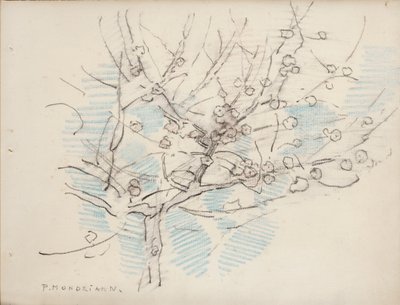 Árbol en flor, c.1917-18 (lápiz y crayón sobre papel) de Piet Mondrian