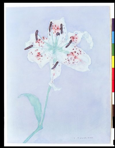 Lirio, después de 1921 de Piet Mondrian