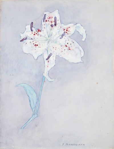Lirio, c.1920-25 de Piet Mondrian