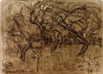 Huerto de Piet Mondrian