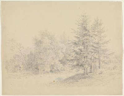 Vista al bosque con pinos de Pieter Bartholomeusz. Barbiers