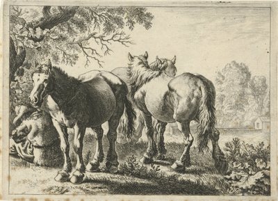 Tres caballos y un granjero Diferentes animales (título de la serie) de Pieter Bodding van Laer