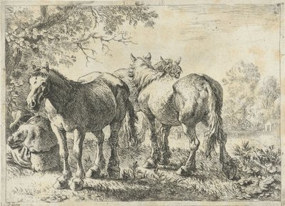 Tres caballos y un granjero Diferentes animales (título de la serie) de Pieter Bodding van Laer