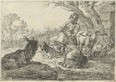 Pastora en medio de cabras y ovejas Diferentes animales (título de la serie) de Pieter Bodding van Laer