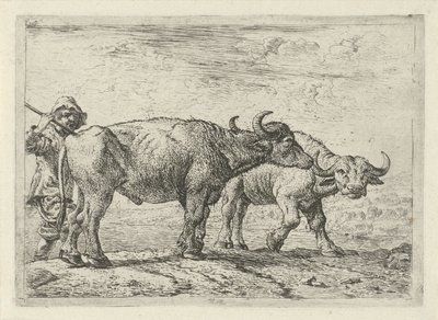Dos búfalos y un pastor Diferentes animales (título de la serie) de Pieter Bodding van Laer