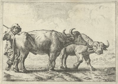 Dos búfalos y un pastor Diferentes animales (título de la serie) de Pieter Bodding van Laer