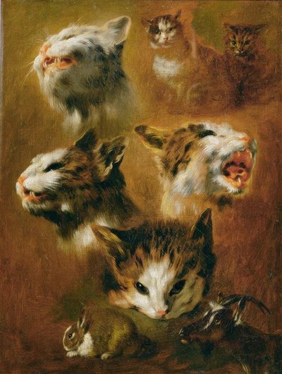 Estudios de animales: gatos, conejos y cabra de Pieter or Peter Boel