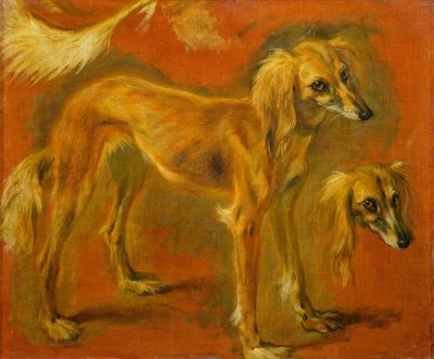 Dos estudios de un galgo de Pieter or Peter Boel