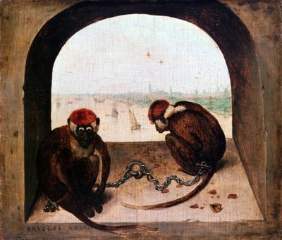 Dos monos, 1562 de Pieter Bruegel the Elder