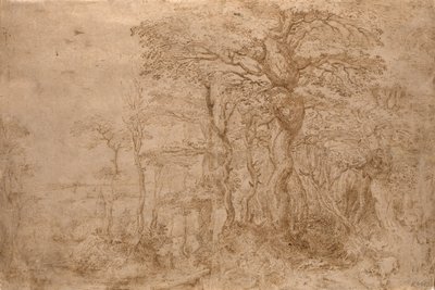 Paisaje silvestre con cinco osos de Pieter Bruegel the Elder