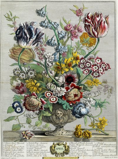 Abril, de "Doce Meses de Flores", 1730 de Pieter Casteels