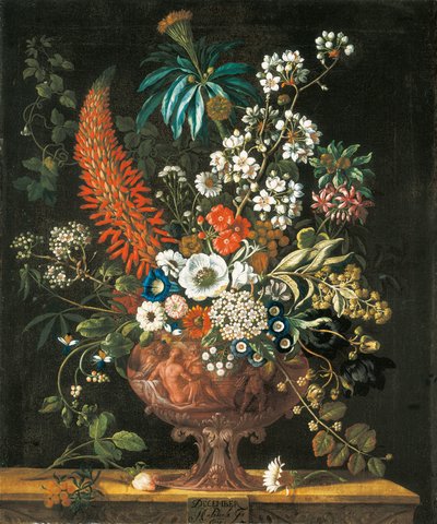 Diciembre, de Los Doce Meses de Flores, un calendario floral de naturalezas muertas, 1730 de Pieter Casteels