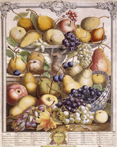 Noviembre de 1732, mostrando manzanas, peras, uvas de temporada, etc., 1732 de Pieter Casteels