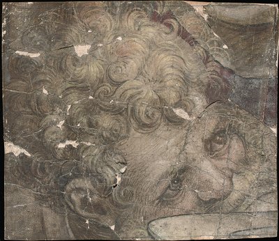 Cabeza de un hombre barbudo mirando hacia arriba de Pieter Coecke van Aelst