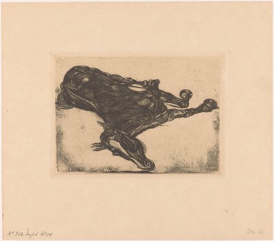 Caballo muerto de Pieter Dupont