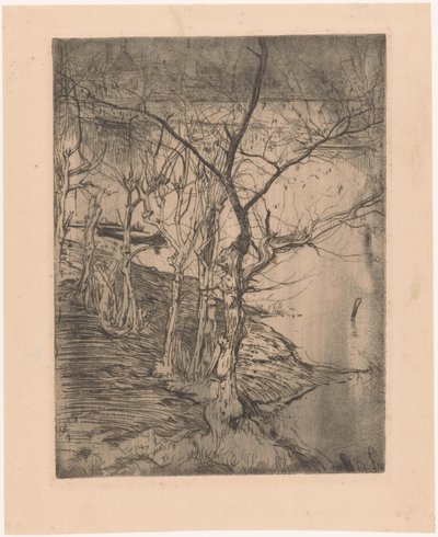Árboles desnudos junto al agua de Pieter Dupont