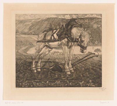 Caballo de labranza en una colina
L