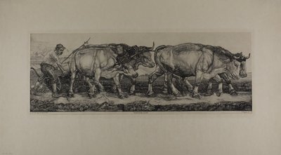 Bueyes de arado de Pieter Dupont