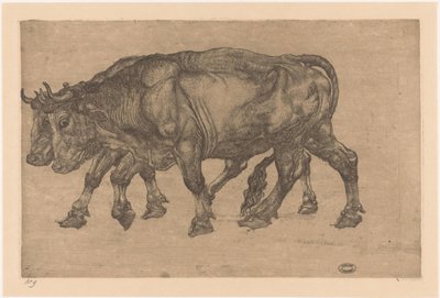 Dos bueyes de Pieter Dupont