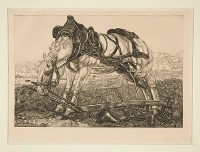 caballo de trabajo de Pieter Dupont
