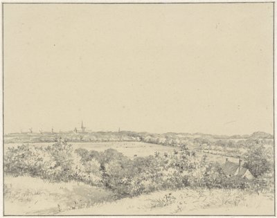 Vista de Haarlem, vista desde las dunas de Pieter Ernst Hendrik Praetorius