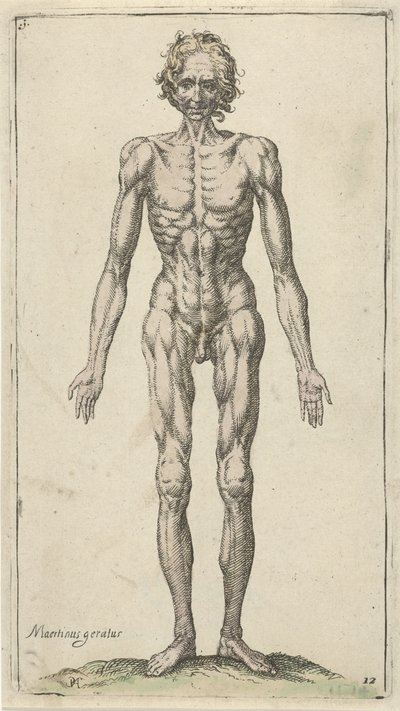 estudio de un hombre desnudo Estudios anatómicos (título de la serie) de Pieter Feddes van Harlingen