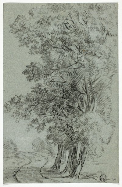 Camino de los árboles de Pieter Gaal
