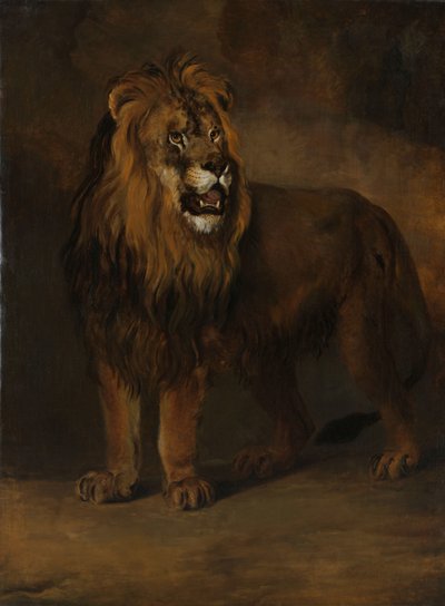 Un león de la casa de fieras del rey Luis Napoleón, 1808 de Pieter Gerardus van Os