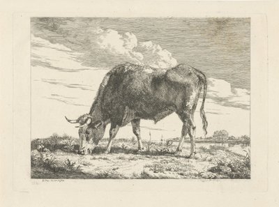 vaca pastando de Pieter Gerardus van Os
