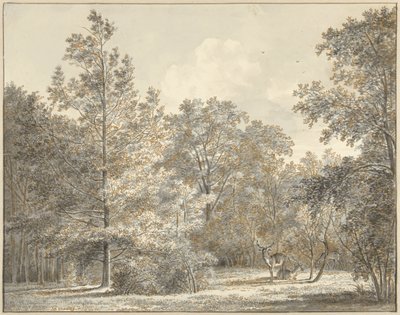 Ciervo en un bosque de Pieter Gerardus van Os