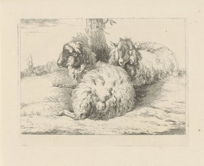 ovejas mentirosas Ovejas y cabras (título de la serie) de Pieter Gerardus van Os