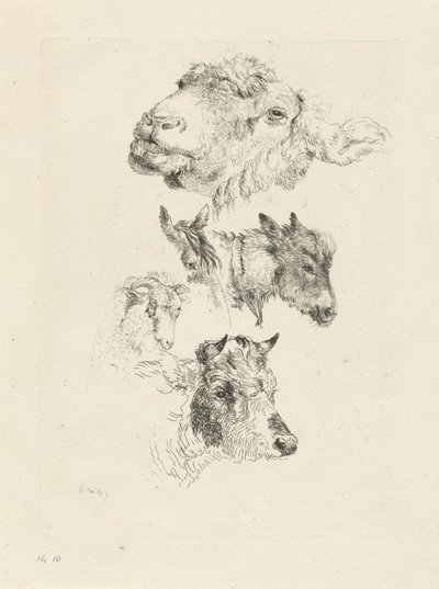 Hoja de estudio con cabezas de oveja, caballo, burro, carnero y toro de Pieter Gerardus van Os