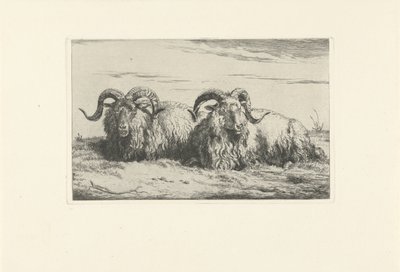 Dos carneros mentirosos Ovejas y cabras (título de la serie) de Pieter Gerardus van Os