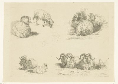 Cuatro actuaciones con ovejas y cabras Ovejas y cabras (título de la serie) de Pieter Gerardus van Os