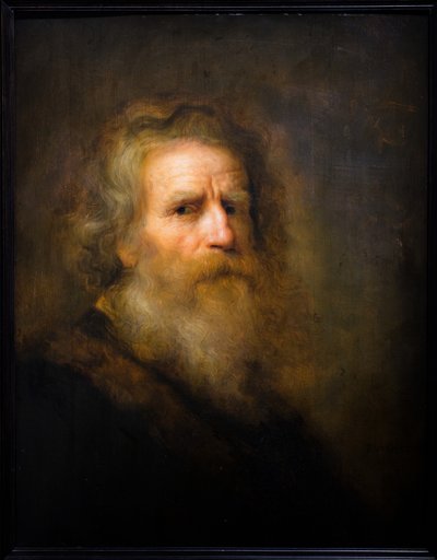 Cabeza de un anciano de Pieter Harmansz Verelst