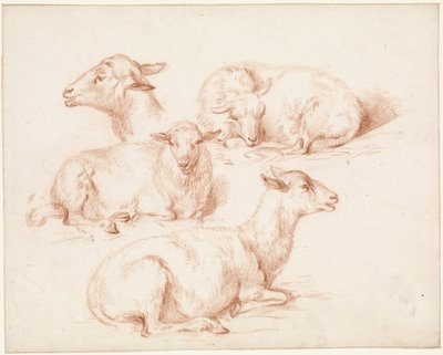 Hoja de estudio con ovejas de Pieter Jan Guise