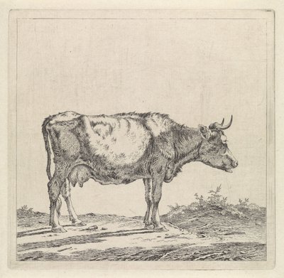 Paisaje con una vaca en el paseo marítimo de Pieter Janson