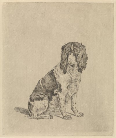 Perro perdiz sentado de Pieter Janson